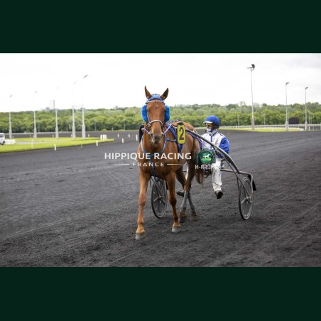 Course 4 19/05/2026 - photos course hippodrome paris vincennes trot
