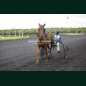 Course 4 19/05/2026 - photos course hippodrome paris vincennes trot