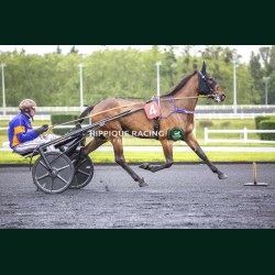 Heat Course 5 19/05/2026 - photos course hippodrome paris vincennes...