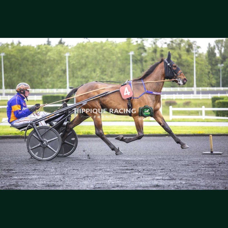 Heat Course 5 19/05/2026 - photos course hippodrome paris vincennes...