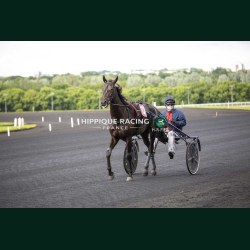 Course 5 19/05/2026 - photos course hippodrome paris vincennes trot