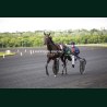 Course 5 19/05/2026 - photos course hippodrome paris vincennes trot