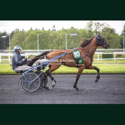 Heat Course 6 19/05/2026 - photos course hippodrome paris vincennes...