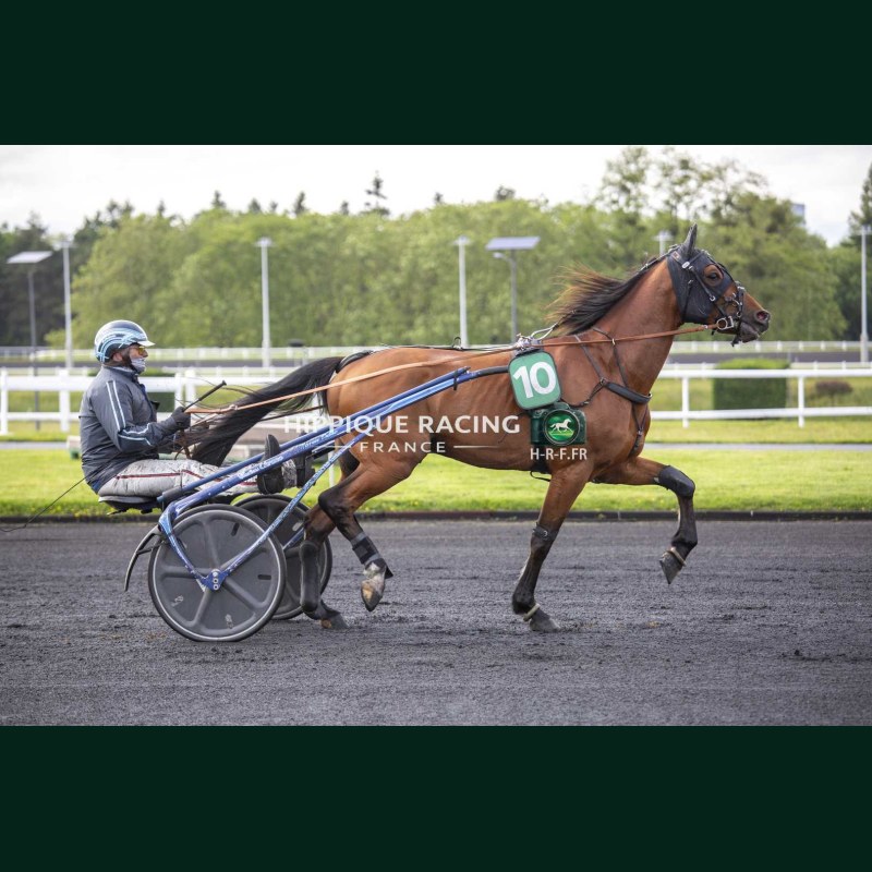 Heat Course 6 19/05/2026 - photos course hippodrome paris vincennes...