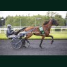 Heat Course 6 19/05/2026 - photos course hippodrome paris vincennes...