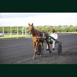 Course 6 19/05/2026 - photos course hippodrome paris vincennes trot