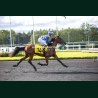 Heat Course 7 19/05/2026 - photos course hippodrome paris vincennes...