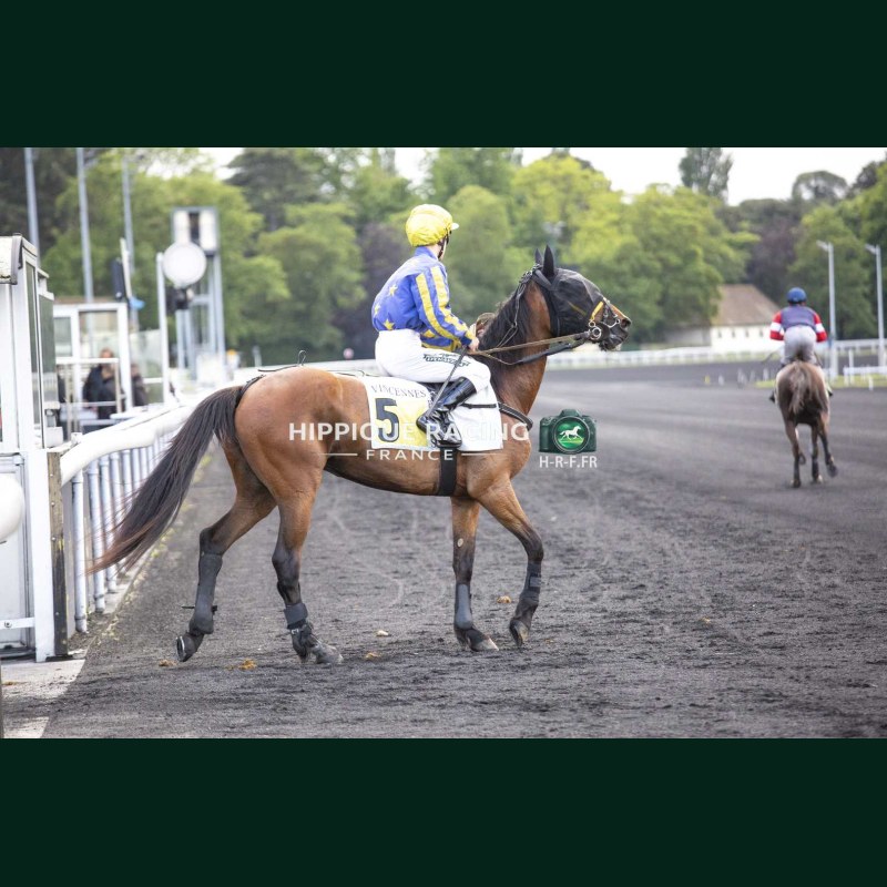 Course 7 19/05/2026 - photos course hippodrome paris vincennes trot