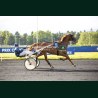 Heat Course 8 19/05/2026 - photos course hippodrome paris vincennes...