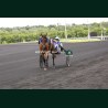 Course 8 19/05/2026 - photos course hippodrome paris vincennes trot