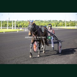 Course 1 22/05/2026 - photos course hippodrome paris vincennes trot