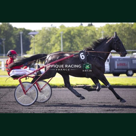 Heat Course 2 22/05/2026 - photos course hippodrome paris vincennes...