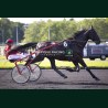 Heat Course 2 22/05/2026 - photos course hippodrome paris vincennes...