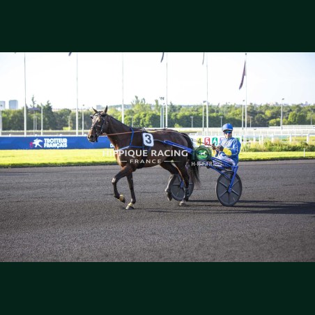 Course 3 22/05/2026 - photos course hippodrome paris vincennes trot