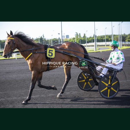 Heat Course 4 22/05/2026 - photos course hippodrome paris vincennes...