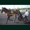 Heat Course 4 22/05/2026 - photos course hippodrome paris vincennes...