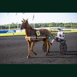 Course 4 22/05/2026 - photos course hippodrome paris vincennes trot