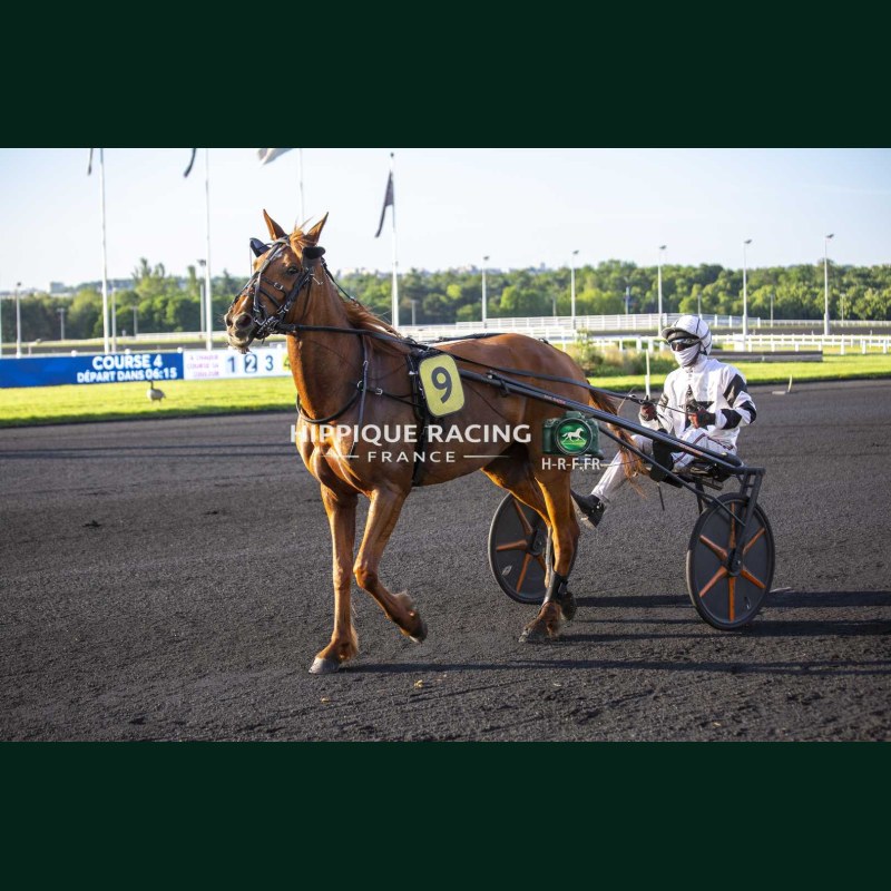 Course 4 22/05/2026 - photos course hippodrome paris vincennes trot