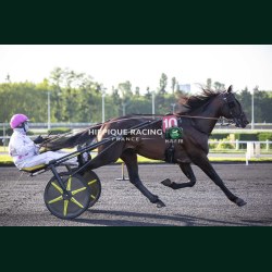 Heat Course 5 15/05/2026 - photos course hippodrome paris vincennes...