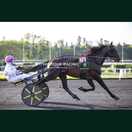 Heat Course 5 15/05/2026 - photos course hippodrome paris vincennes...