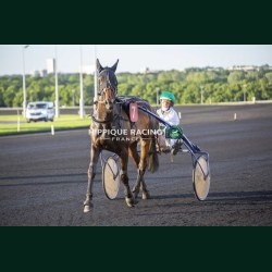 Course 5 22/05/2026 - photos course hippodrome paris vincennes trot