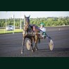 Course 5 22/05/2026 - photos course hippodrome paris vincennes trot
