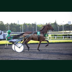 Heat Course 6 22/05/2026 - photos course hippodrome paris vincennes...