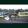Heat Course 6 22/05/2026 - photos course hippodrome paris vincennes...