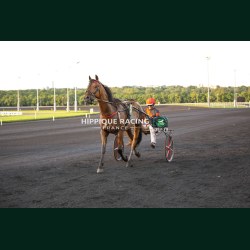 Course 6 22/05/2026 - photos course hippodrome paris vincennes trot