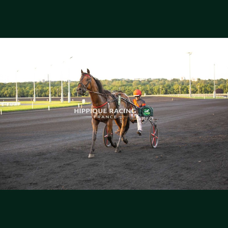 Course 6 22/05/2026 - photos course hippodrome paris vincennes trot