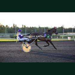 Heat Course 7 15/05/2026 - photos course hippodrome paris vincennes...