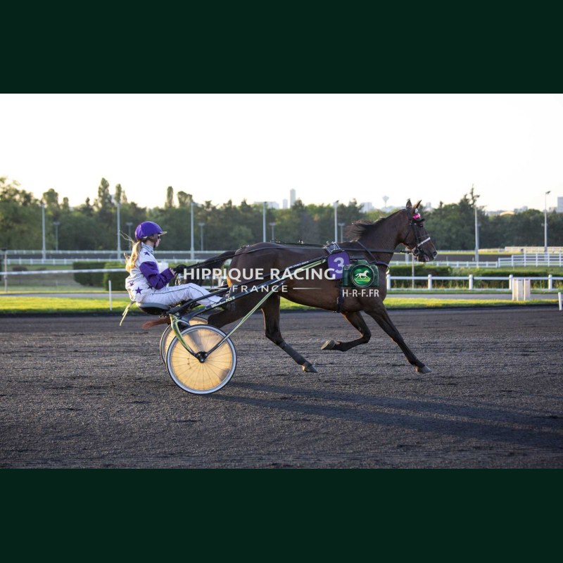 Heat Course 7 15/05/2026 - photos course hippodrome paris vincennes...