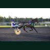 Heat Course 7 15/05/2026 - photos course hippodrome paris vincennes...
