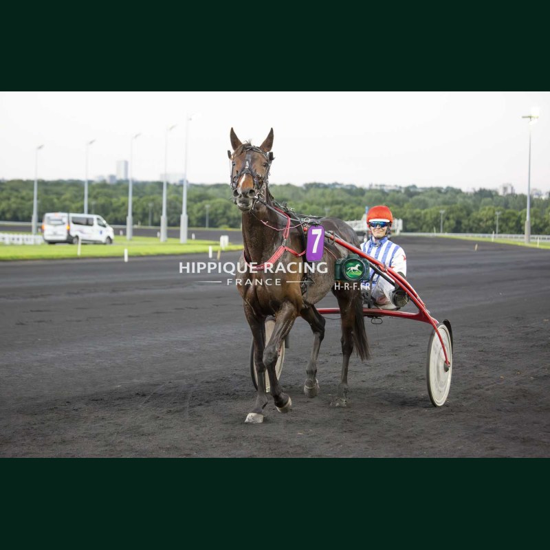 Course 7 22/05/2026 - photos course hippodrome paris vincennes trot