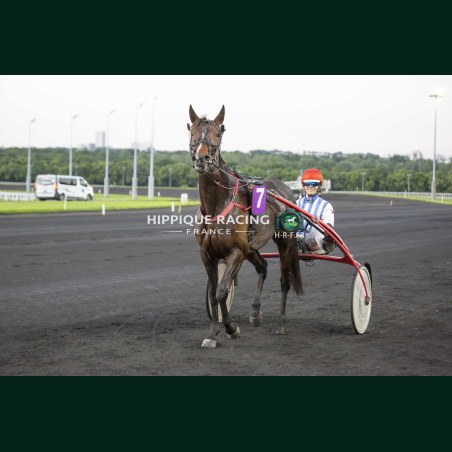 Course 7 22/05/2026 - photos course hippodrome paris vincennes trot