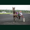 Course 7 22/05/2026 - photos course hippodrome paris vincennes trot
