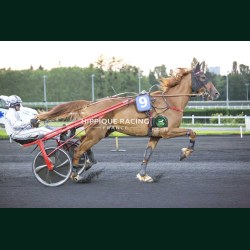 Heat Course 8 22/05/2026 - photos course hippodrome paris vincennes...