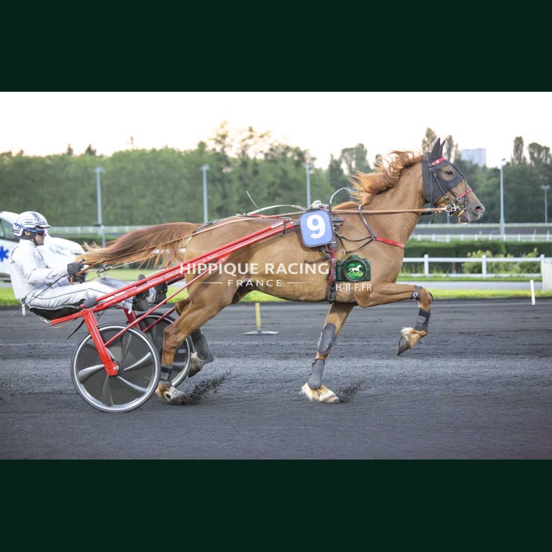 Heat Course 8 22/05/2026 - photos course hippodrome paris vincennes...