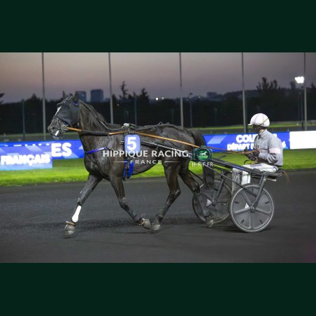 course 8 22/05/2026 - photos course hippodrome paris vincennes trot