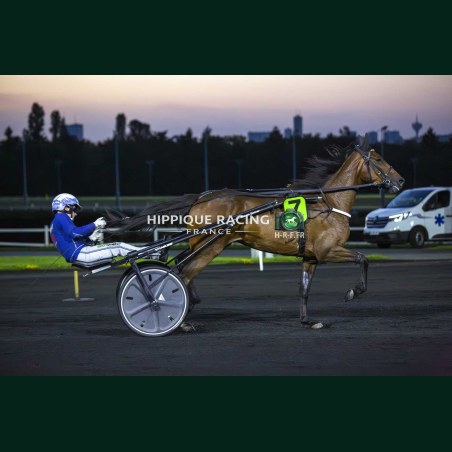 Heat Course 9 22/05/2026 - photos course hippodrome paris vincennes...