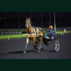 Course 9 22/05/2026 - photos course hippodrome paris vincennes trot
