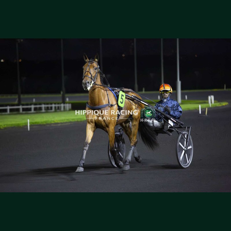 Course 9 22/05/2026 - photos course hippodrome paris vincennes trot