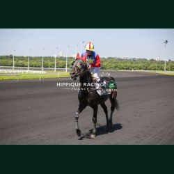 Course 1 26/05/2026 - photos course hippodrome paris vincennes trot