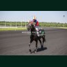Course 1 26/05/2026 - photos course hippodrome paris vincennes trot