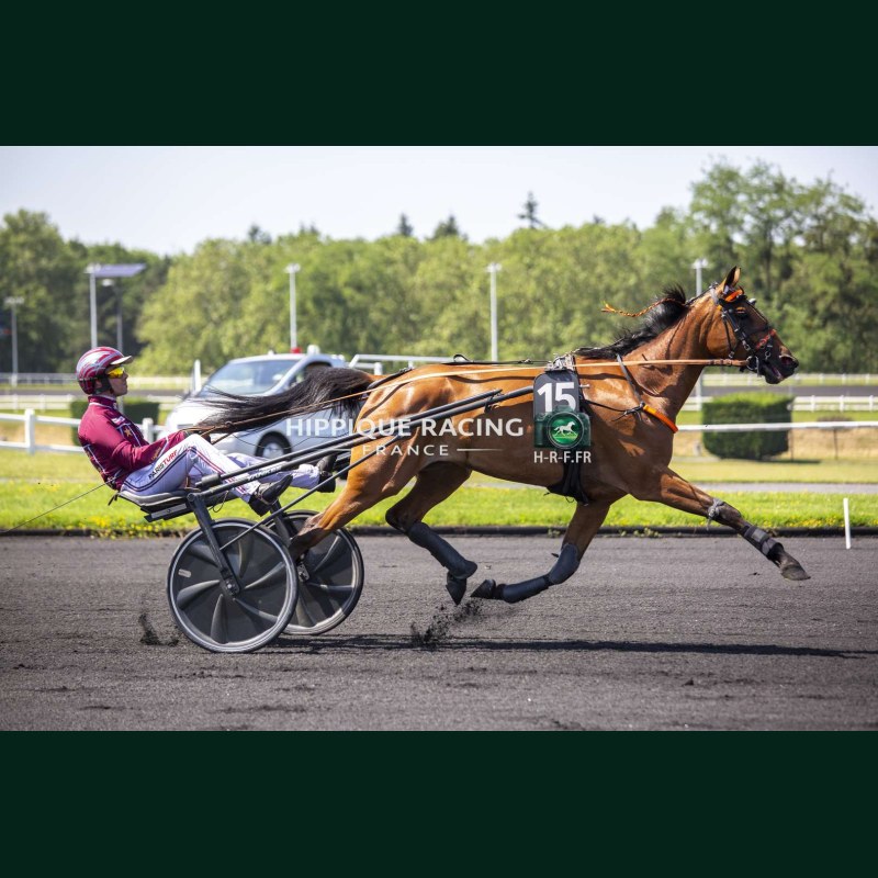 Heat Course 2 26/05/2026 - photos course hippodrome paris vincennes...