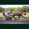 Heat Course 2 26/05/2026 - photos course hippodrome paris vincennes...
