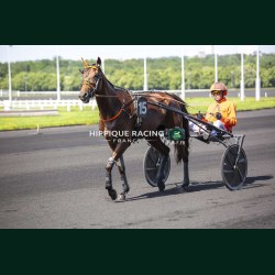 Course 2 26/05/2026 - photos course hippodrome paris vincennes trot