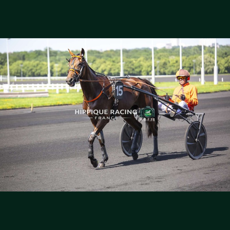 Course 2 26/05/2026 - photos course hippodrome paris vincennes trot