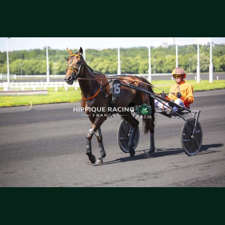Course 2 26/05/2026 - photos course hippodrome paris vincennes trot