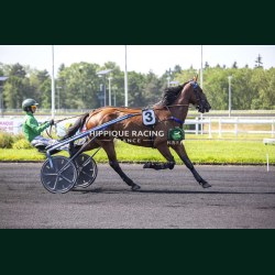 Heat Course 3 26/05/2026 - photos course hippodrome paris vincennes...